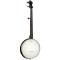 AC-Traveler Gold Tone Banjo 