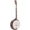 BG-150F: Gold Tone Bluegrass Banjo 