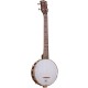 BUB Gold Tone Baritone Banjo Ukulele 