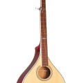 Banjola: Gold Tone woodbody banjo