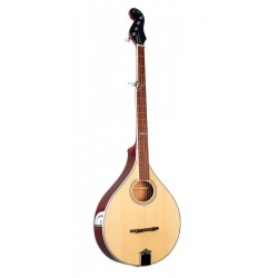 Banjola+ Gold Tone woodbody banjo