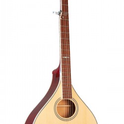 Banjola+ Gold Tone woodbody banjo