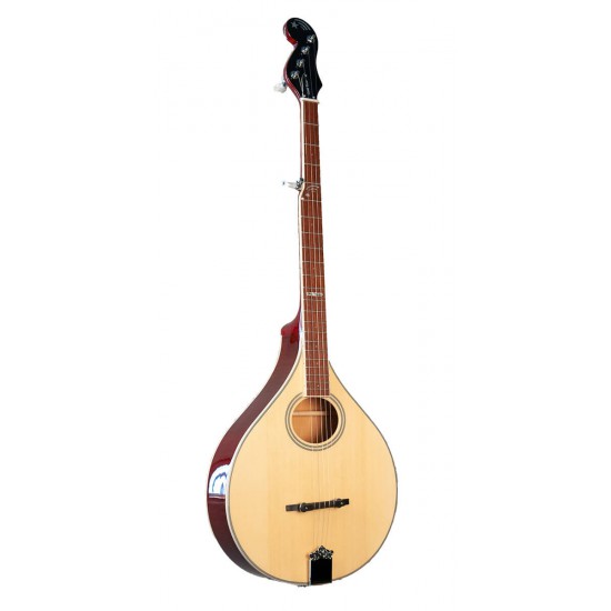Banjola: Gold Tone woodbody banjo
