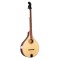 Banjola+ Gold Tone woodbody banjo