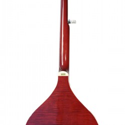 Banjola+ Gold Tone woodbody banjo