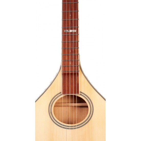 Banjola: Gold Tone woodbody banjo