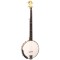 CC-100 Gold Tone Cripple Creek Openback Banjo