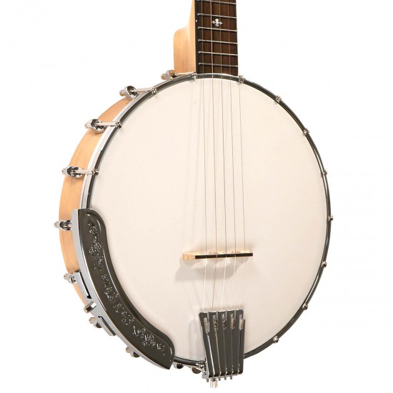 CC-100 Gold Tone Cripple Creek Openback Banjo