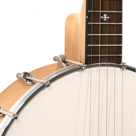 CC-100 Gold Tone Cripple Creek Openback Banjo