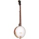 Gold Tone CC-50 Banjo 