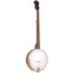 CC-50 Gold Tone Banjo 