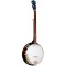 CC-50RP Gold Tone Resonator Banjo with Planetary Tuners