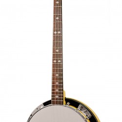 CC-Plectrum Gold Tone Banjo