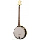 CC-Plectrum Gold Tone Banjo