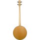 CC-Plectrum Gold Tone Banjo