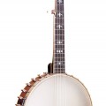 CEB-5 Gold Tone Cello Banjo 