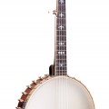 CEB-5 Gold Tone 5-string Cello Banjo 