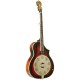 Dojo DLX: Gold Tone Deluxe Resonator Banjo 