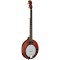 Gold Tone EB-5 Electric Banjo 