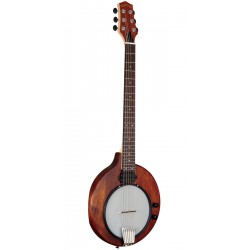 Gold Tone EB-6: Electric Banjitar 