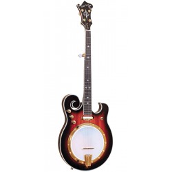 Gold Tone EBM-5: Electric Banjo