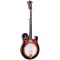 Gold Tone EBM-5: Electric Banjo