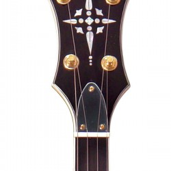 EBM-5: Gold Tone Electric Banjo
