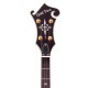 EBM-5: Gold Tone Electric Banjo