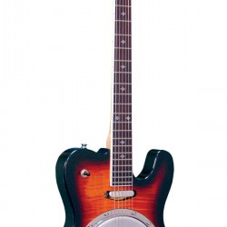 Gold Tone ES-Banjitar: Electric Banjitar