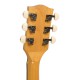 GT-500: Banjo Guitar