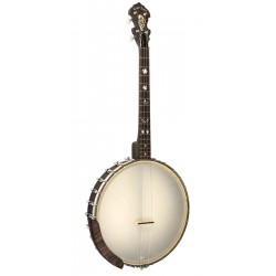 IT-17 Irish Tenor Banjo w/Bag