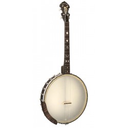 IT-17 Gold Tone Irish Tenor Banjo 