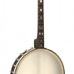 IT-17: Irish Tenor Banjo with 17 Frets and Gig Bag