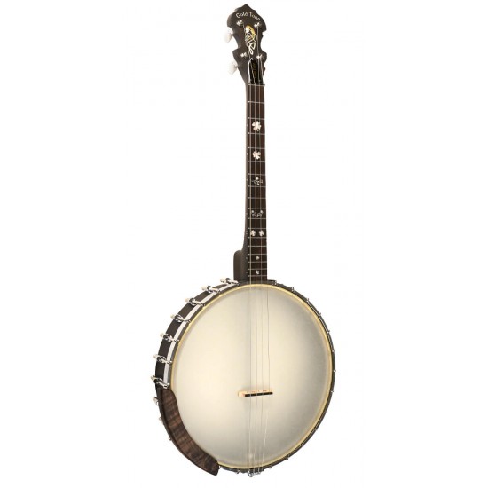 IT-17 Gold Tone Irish Tenor Banjo 