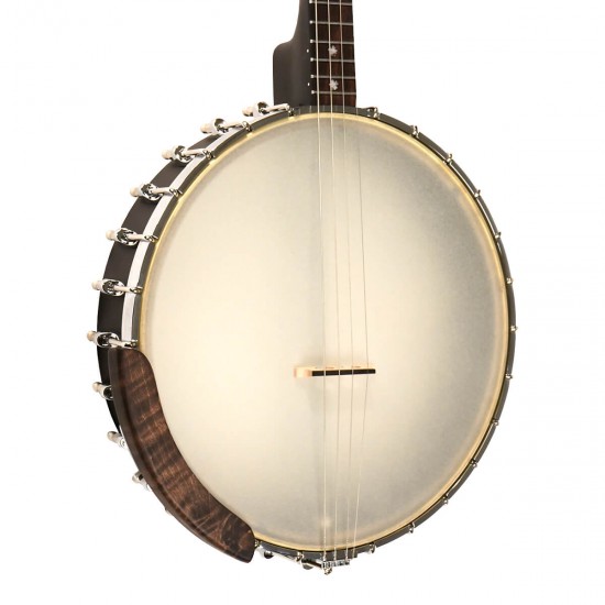 IT-17 Gold Tone Irish Tenor Banjo 