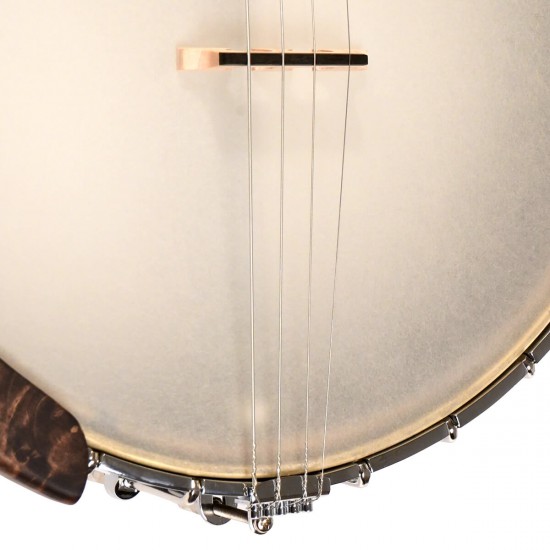 IT-17 Gold Tone Irish Tenor Banjo 