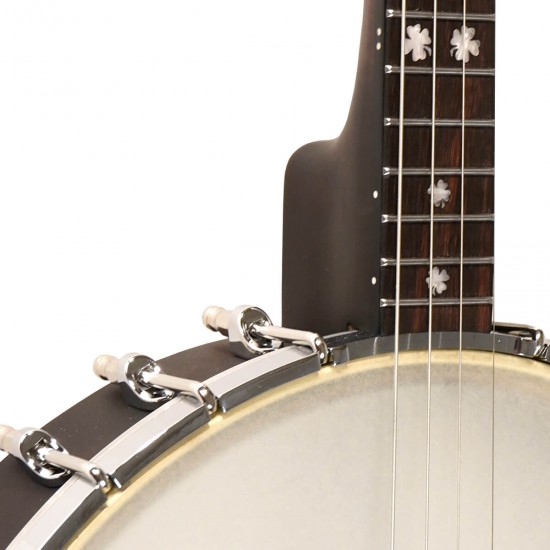 IT-17 Gold Tone Irish Tenor Banjo 