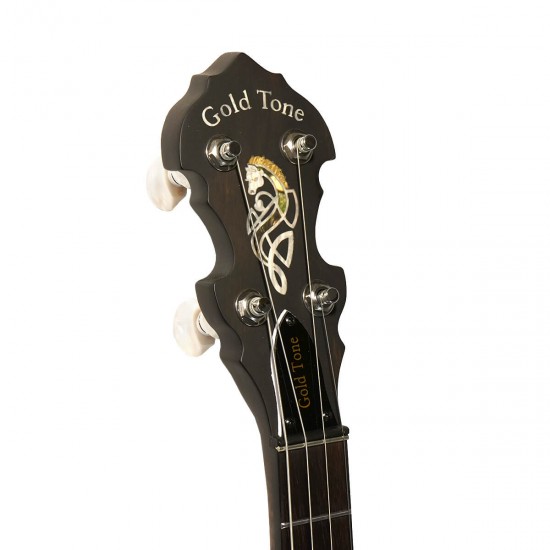 IT-17 Gold Tone Irish Tenor Banjo 