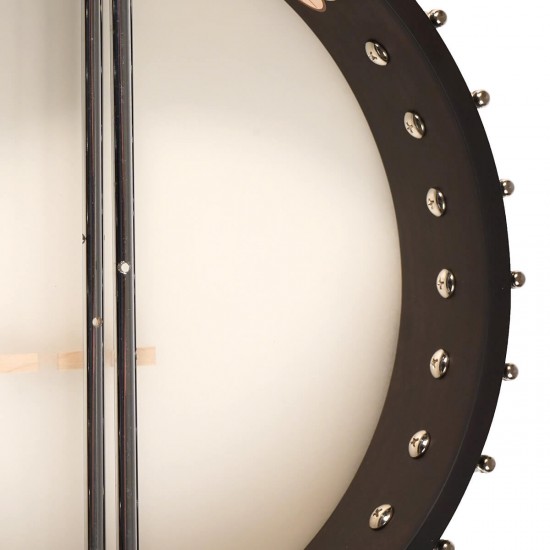 IT-17 Gold Tone Irish Tenor Banjo 