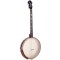 Gold Tone IT-19: Irish Tenor Banjo 