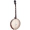 IT-19: Gold Tone Irish Tenor Banjo 