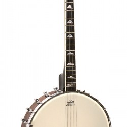 IT-250 Gold Tone Irish Tenor Banjo 