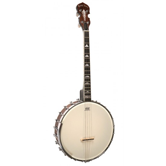 IT-250: Irish Tenor Banjo with Case
