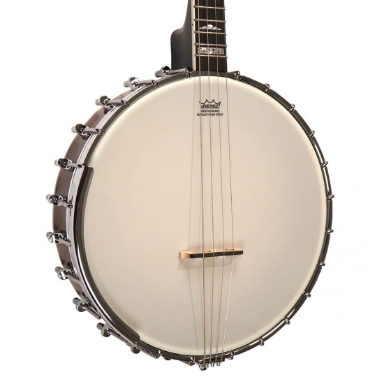 IT-250 Gold Tone Irish Tenor Banjo 