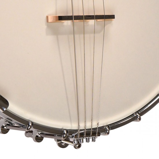 IT-250 Gold Tone Irish Tenor Banjo 