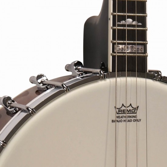 IT-250 Gold Tone Irish Tenor Banjo 