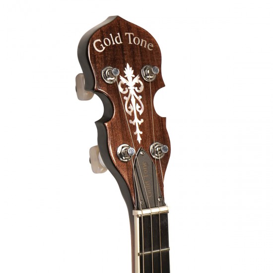 IT-250: Irish Tenor Banjo with Case