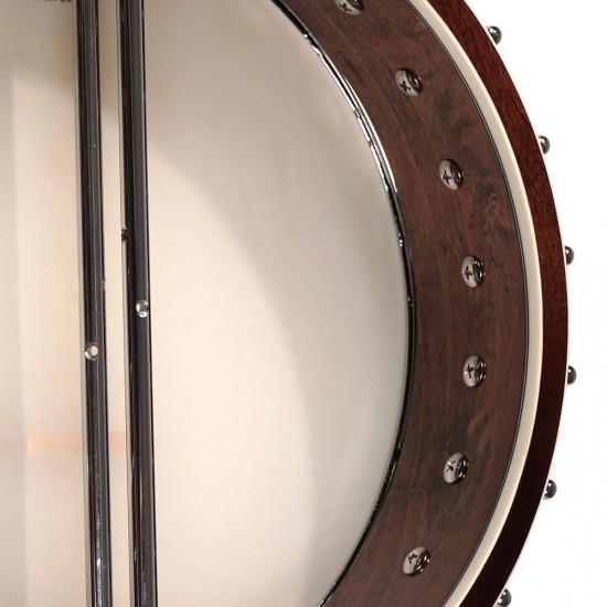 IT-250 Gold Tone Irish Tenor Banjo 