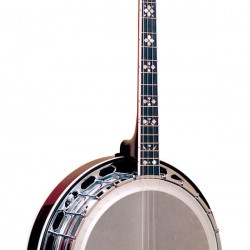 IT-250F: Gold Tone Irish Tenor Banjo with Flange and Resonator