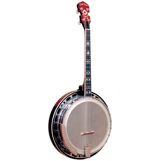 IT-250F: Gold Tone Irish Tenor Banjo with Flange and Resonator